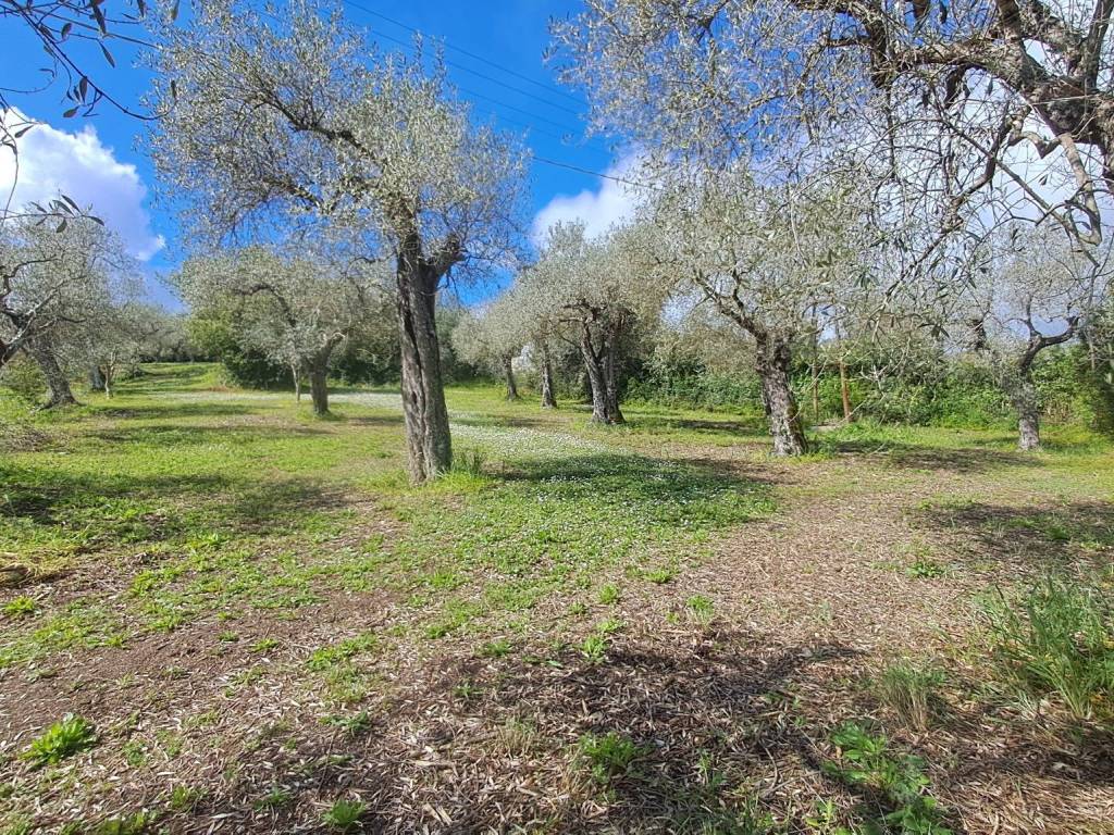 Terreno a Sassari in Strada Statale 291 - Foto 2