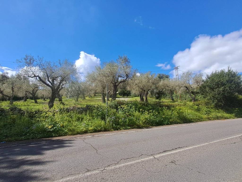 Terreno a Sassari in Strada Statale 291 - Foto 3
