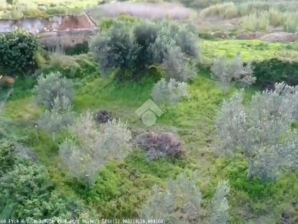 Terreno a Castellammare del golfo in CONTRADA CINISARA - Foto 2