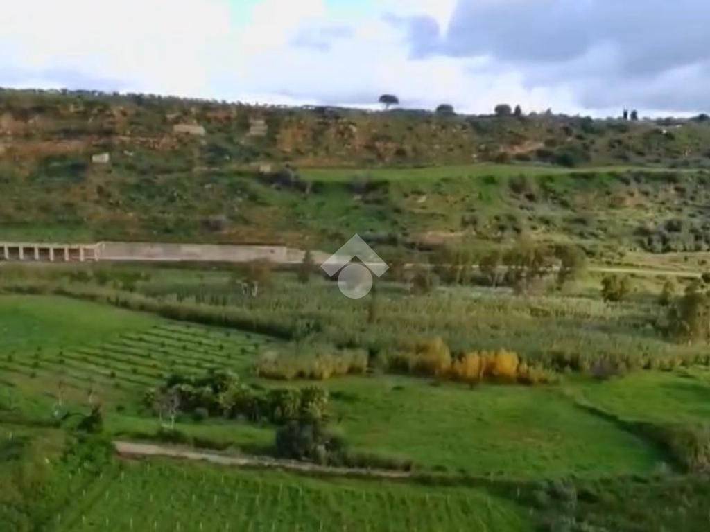 Terreno a Castellammare del golfo in CONTRADA CINISARA - Foto 3