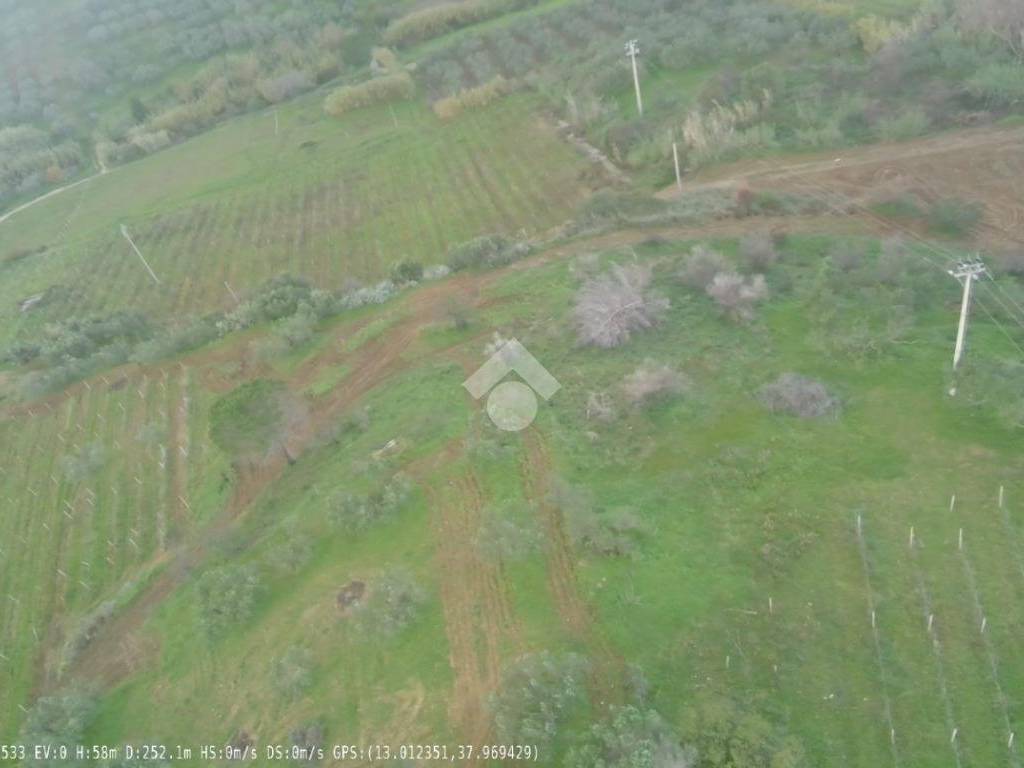 Terreno a Castellammare del golfo in CONTRADA CINISARA - Foto 4