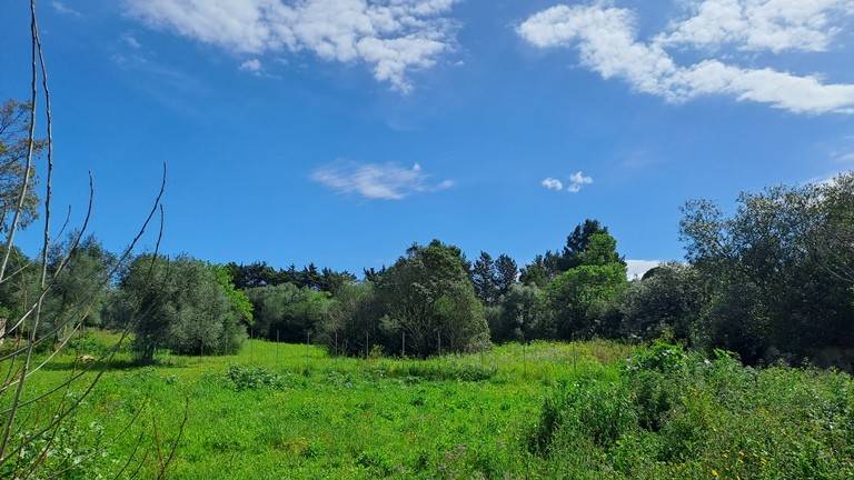 Terreno a Sassari in Strada Comunale San Pietro d'Ottava - Foto 2