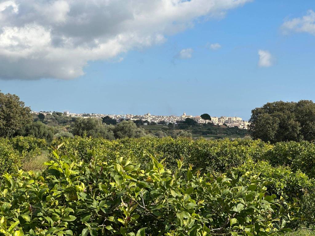Terreno a Noto in Contrada Busulmone - Foto 2