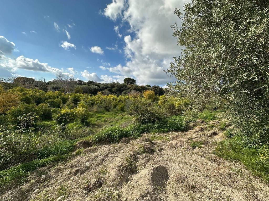 Terreno a Noto in Contrada Busulmone - Foto 4