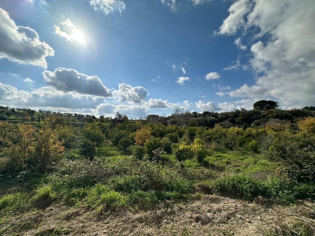Terreno a Noto in Contrada Busulmone - Foto 5