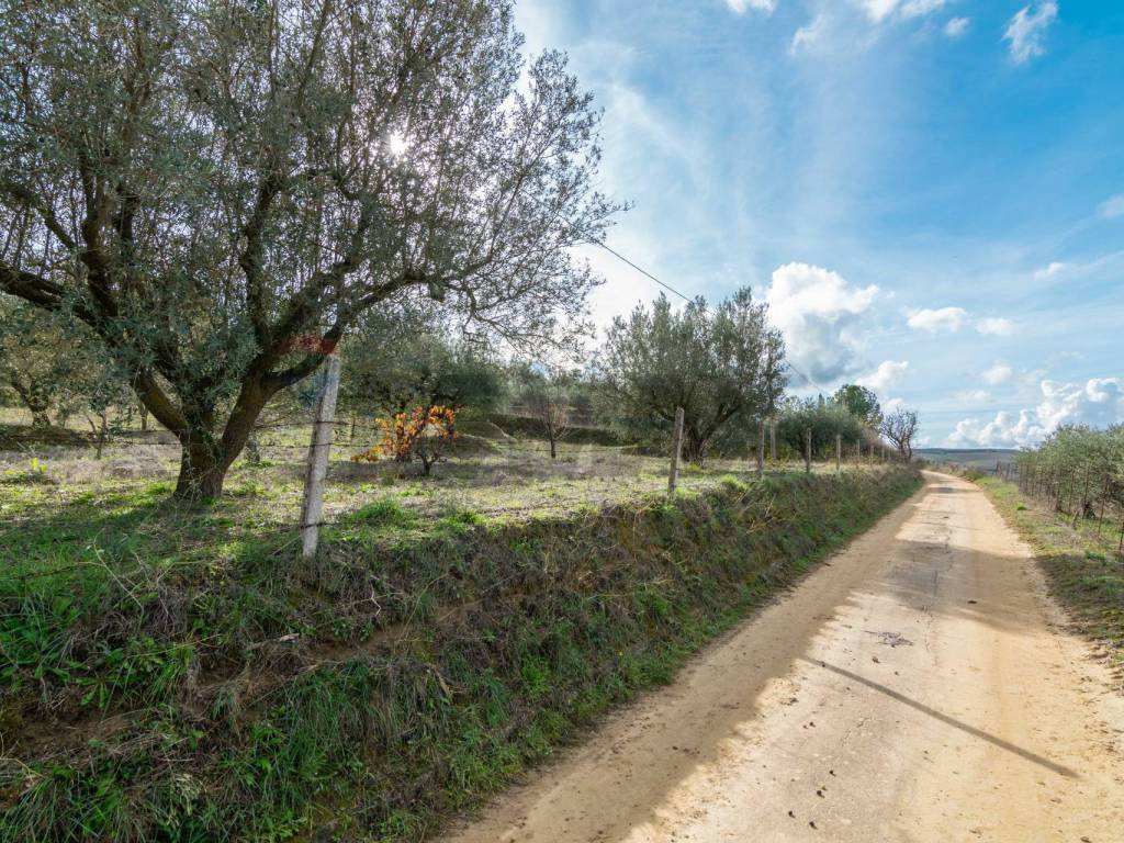 Terreno a Piazza armerina in contrada colla sp 25 - Foto 2