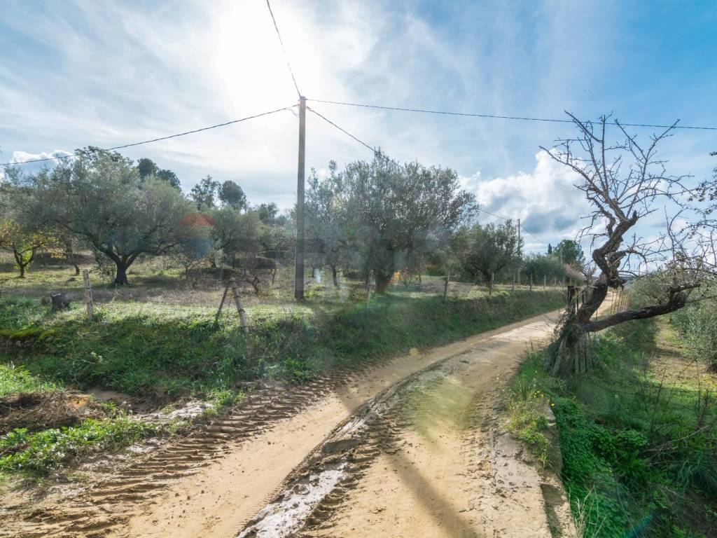 Terreno a Piazza armerina in contrada colla sp 25 - Foto 4