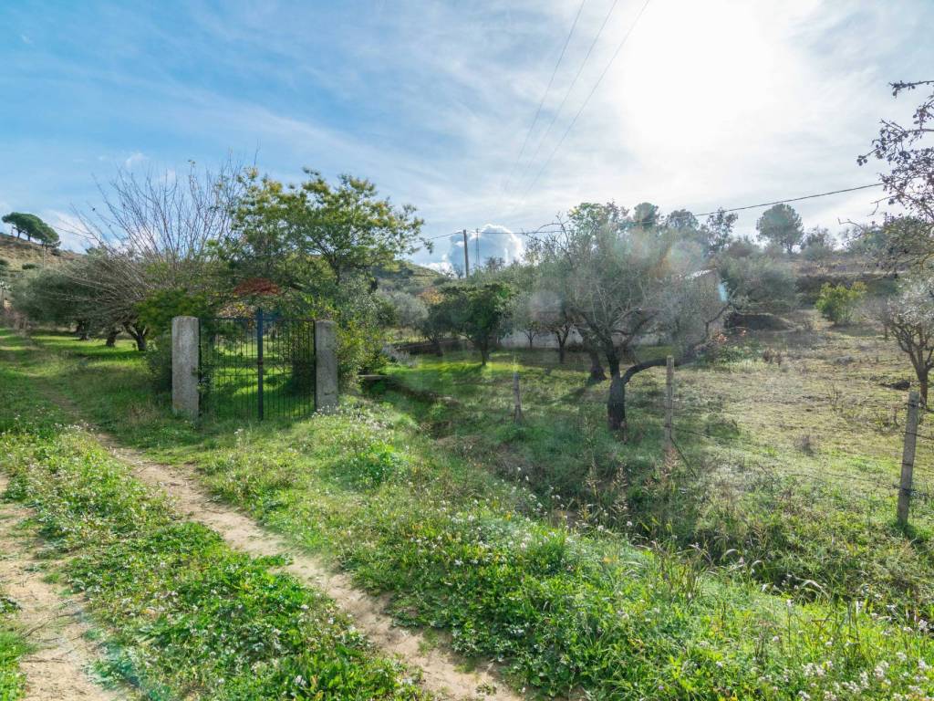 Terreno a Piazza armerina in contrada colla sp 25 - Foto 5