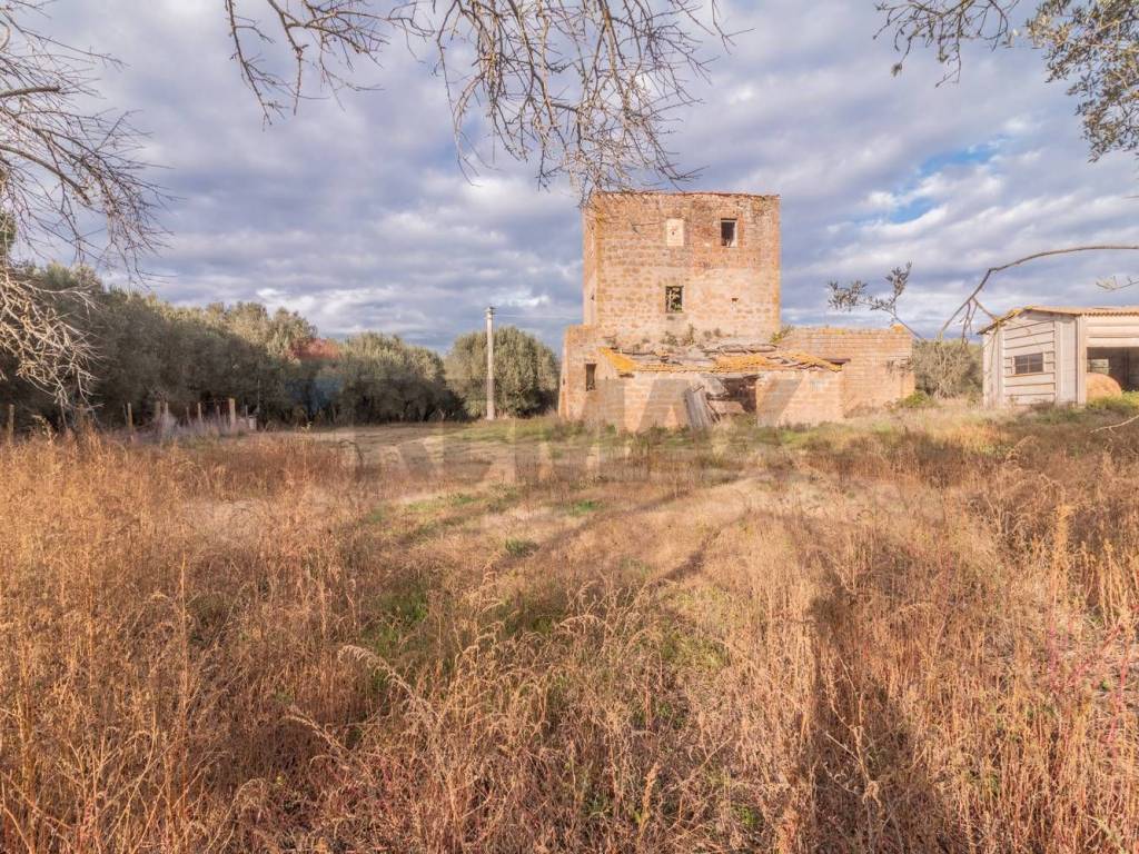 Rustico / casale a Vetralla in Via Aurelia Bis - Foto 2
