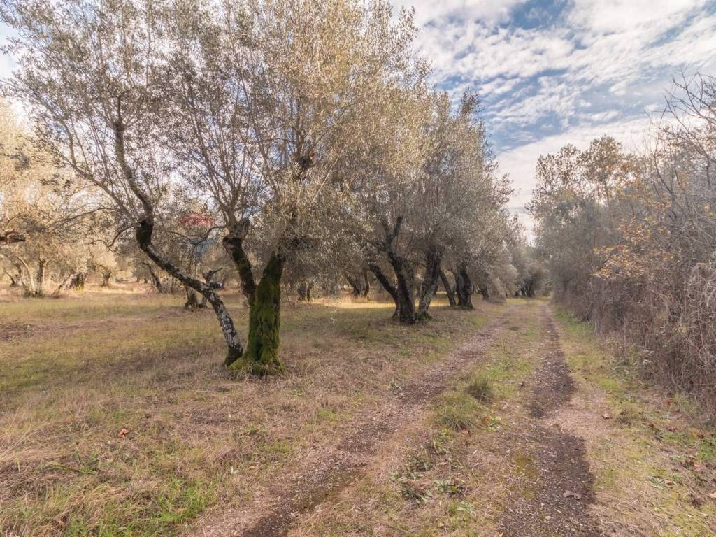 Rustico / casale a Vetralla in Via Aurelia Bis - Foto 3