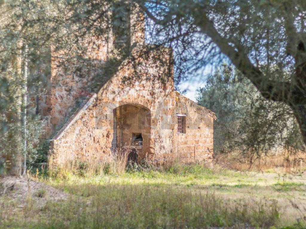 Rustico / casale a Vetralla in Via Aurelia Bis - Foto 5