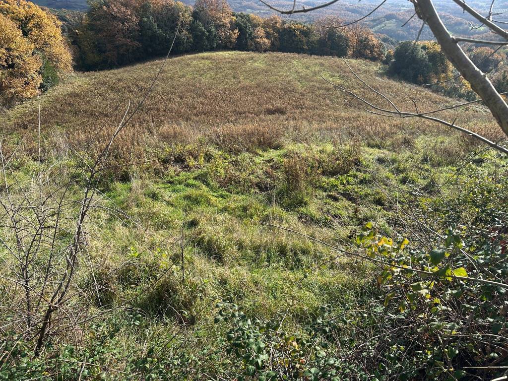 Rustico / casale a Castelnuovo di val di cecina in Via del Monte - Foto 4