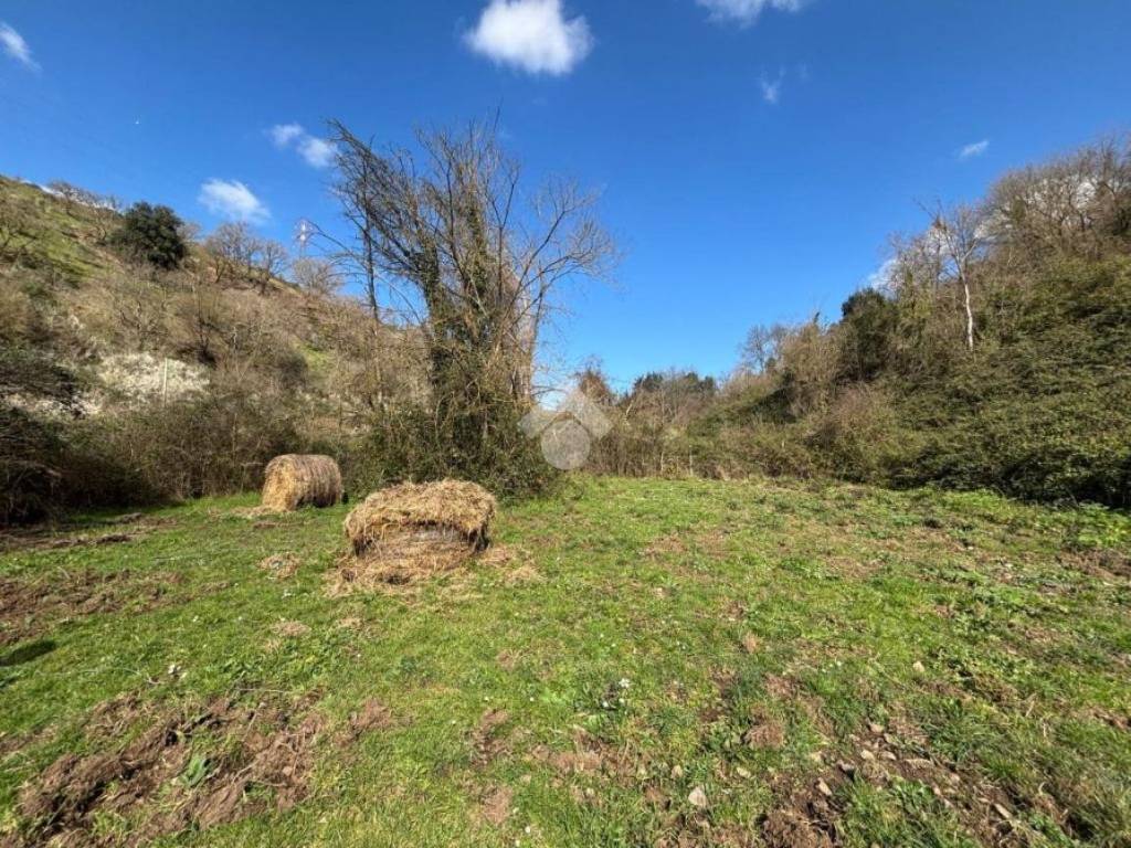 Terreno a Castelnuovo di porto in Via Pian Braccone - Foto 2