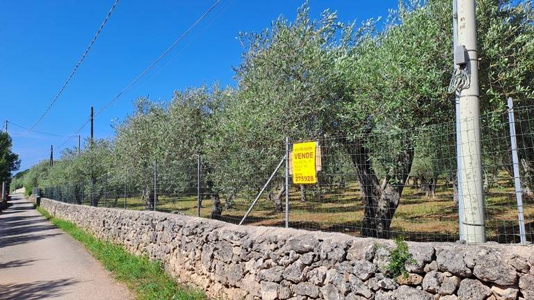 Terreno a Sassari in Strada Vicinale Maccia Crabili - Foto 5