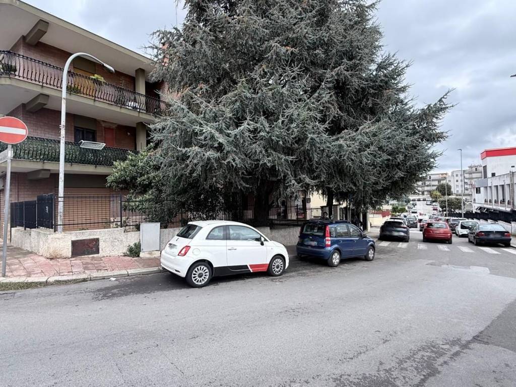 Appartamento a Putignano in Via D. Manfredi, 7 - Foto 2