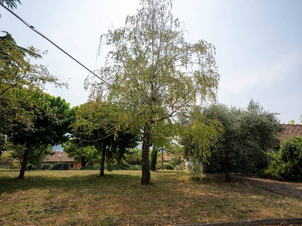 Rustico / casale a San martino alfieri in Via Roma - Foto 2