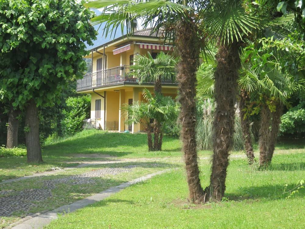 immagine di copertina