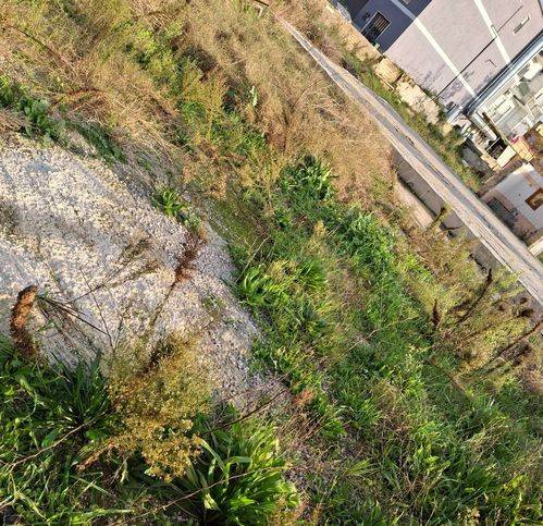 Terreno a Quarto - Foto 2