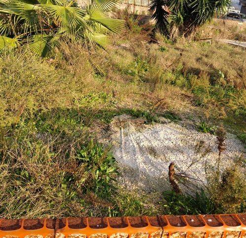 Terreno a Quarto - Foto 5