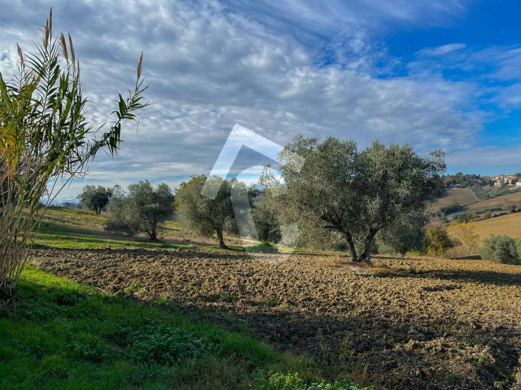Rustico / casale a Belvedere ostrense - Foto 2
