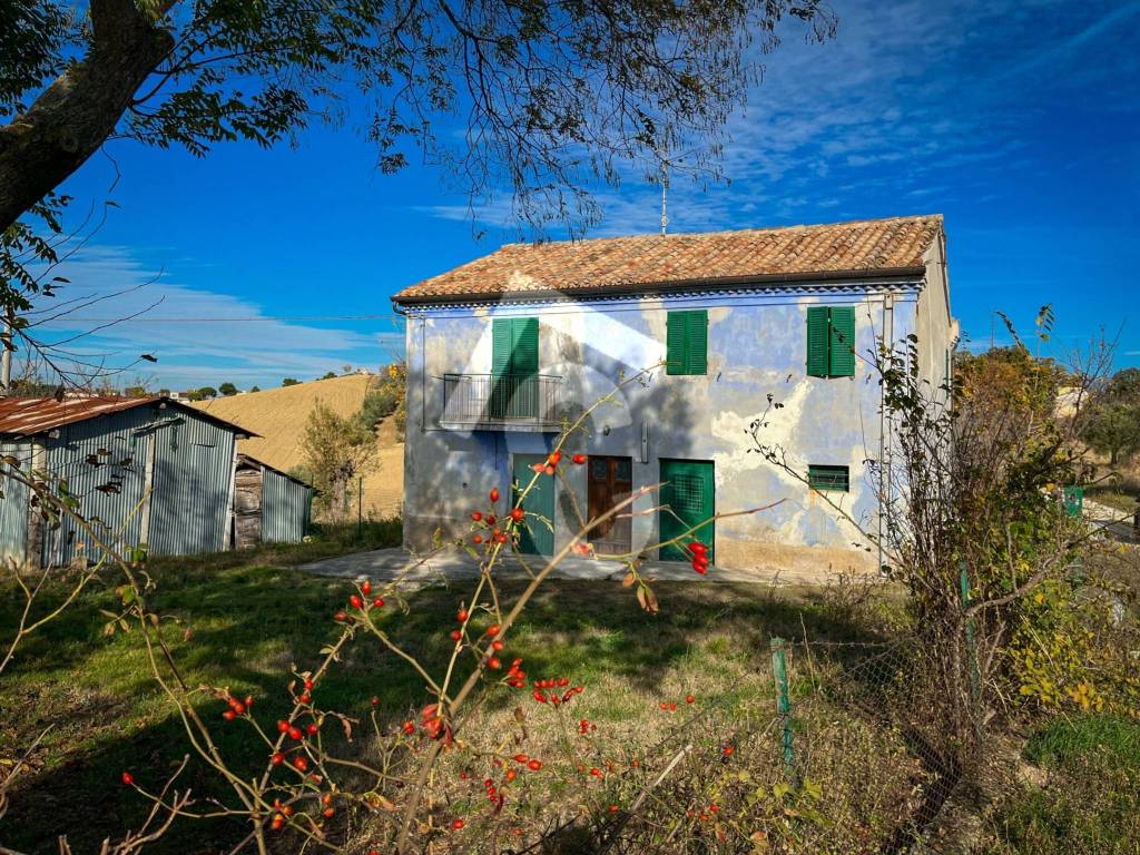 Rustico / casale a Belvedere ostrense - Foto 3