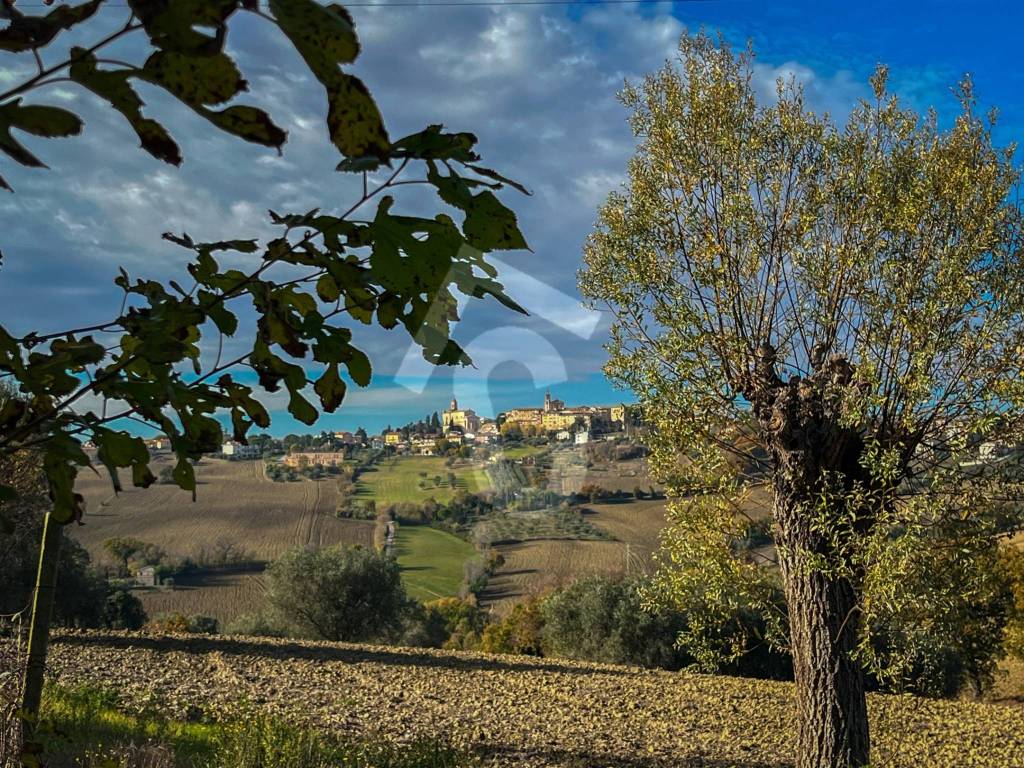 Rustico / casale a Belvedere ostrense - Foto 4