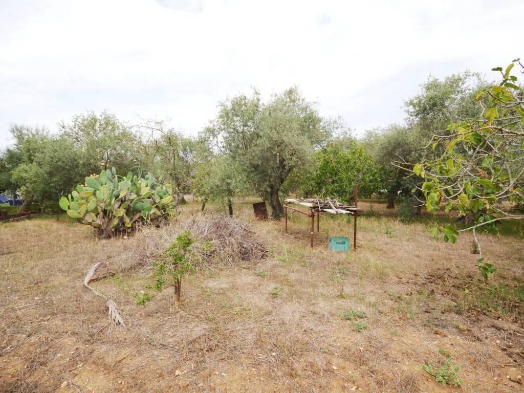 Terreno a Sassari in Via Lorenzo Auzzas - Foto 3