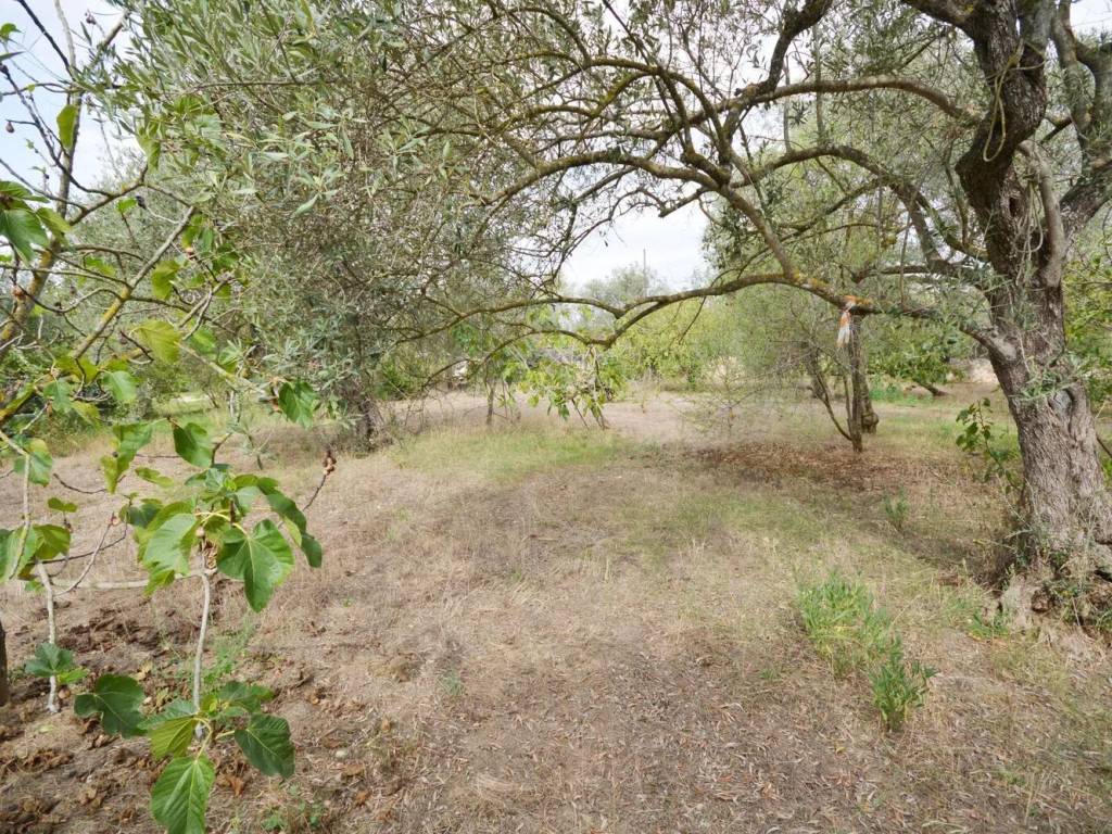 Terreno a Sassari in Via Lorenzo Auzzas - Foto 5