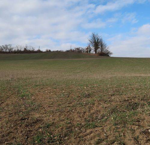 Rustico / casale a Piozzano in Piozzano - Foto 5