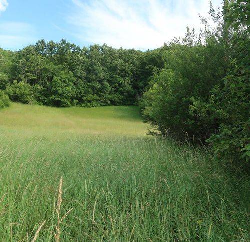 Appartamento a Ferriere in Sp654 1 - Foto 5