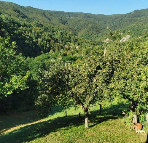 Villa a Ferriere - Foto 5