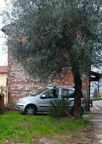 Casa indipendente a Carmignano - Foto 5