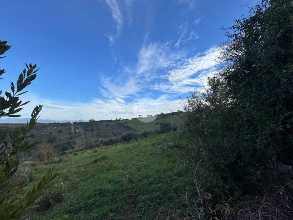 Terreno a Monterotondo in Via Guerrazzi - Foto 4