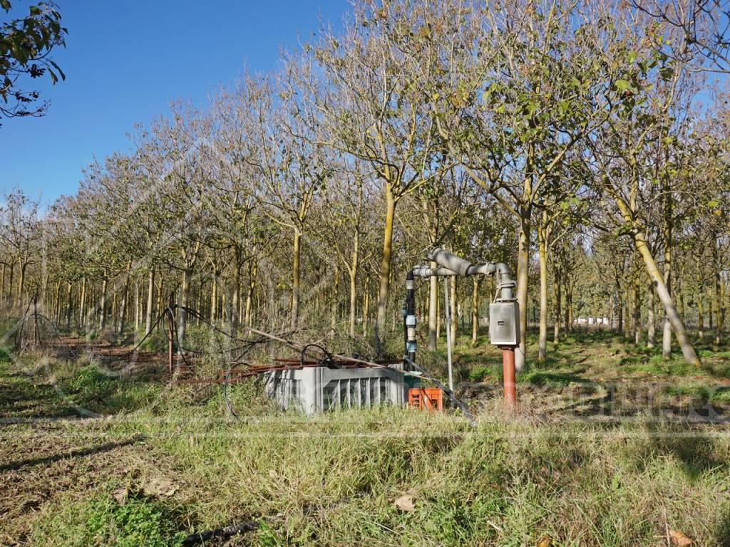 Terreno a Ussana - Foto 4