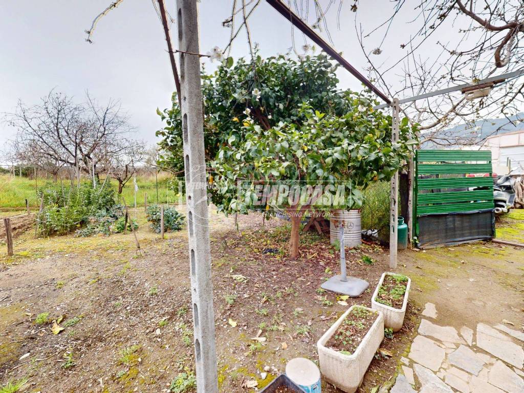 Appartamento a Taggia - Foto 3