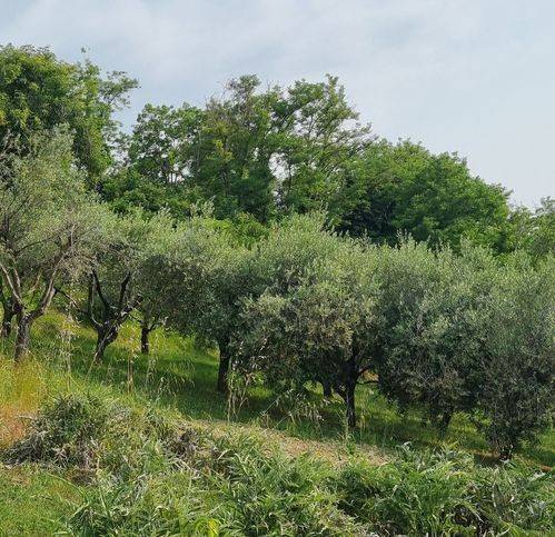 Villa a Fermo in Contrada Girola Di Fermo - Foto 2