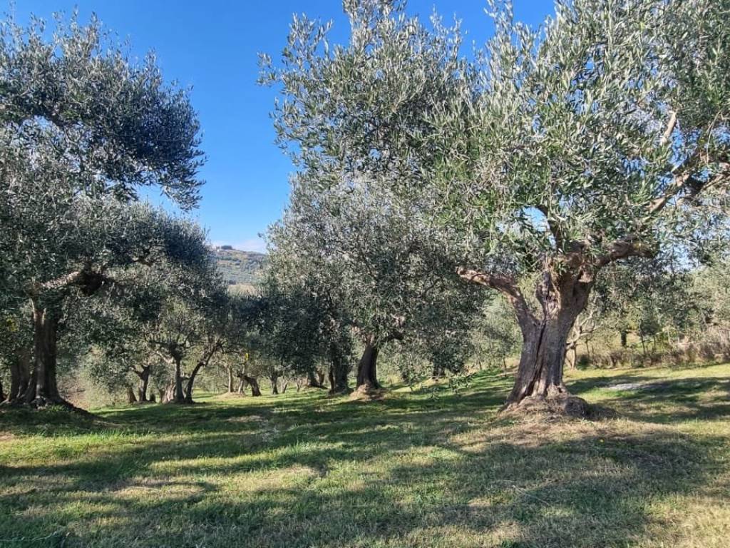 Terreno a Saludecio in Via Monte del Prete Basso - Foto 3