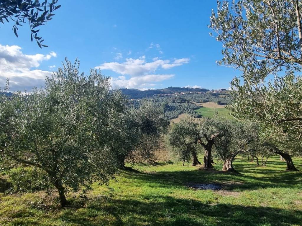 Terreno a Saludecio in Via Monte del Prete Basso - Foto 4