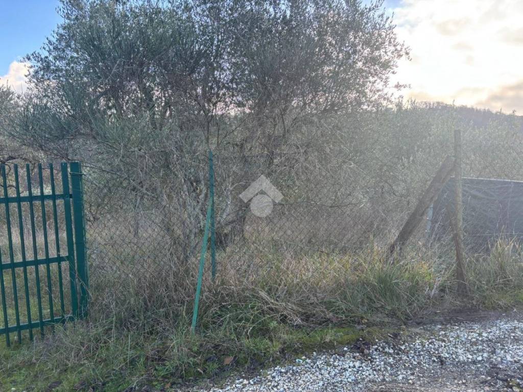 Terreno a Scandicci in Via di san polo - Foto 2