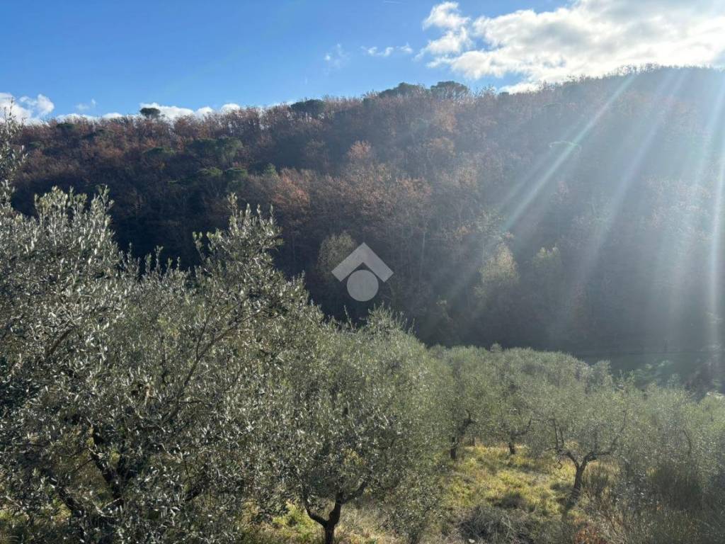 Terreno a Scandicci in Via di san polo - Foto 5