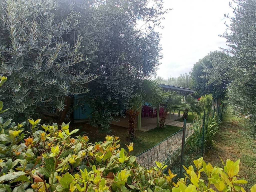 Terreno a Colli del tronto in Contrada Salaria Inferiore - Foto 3