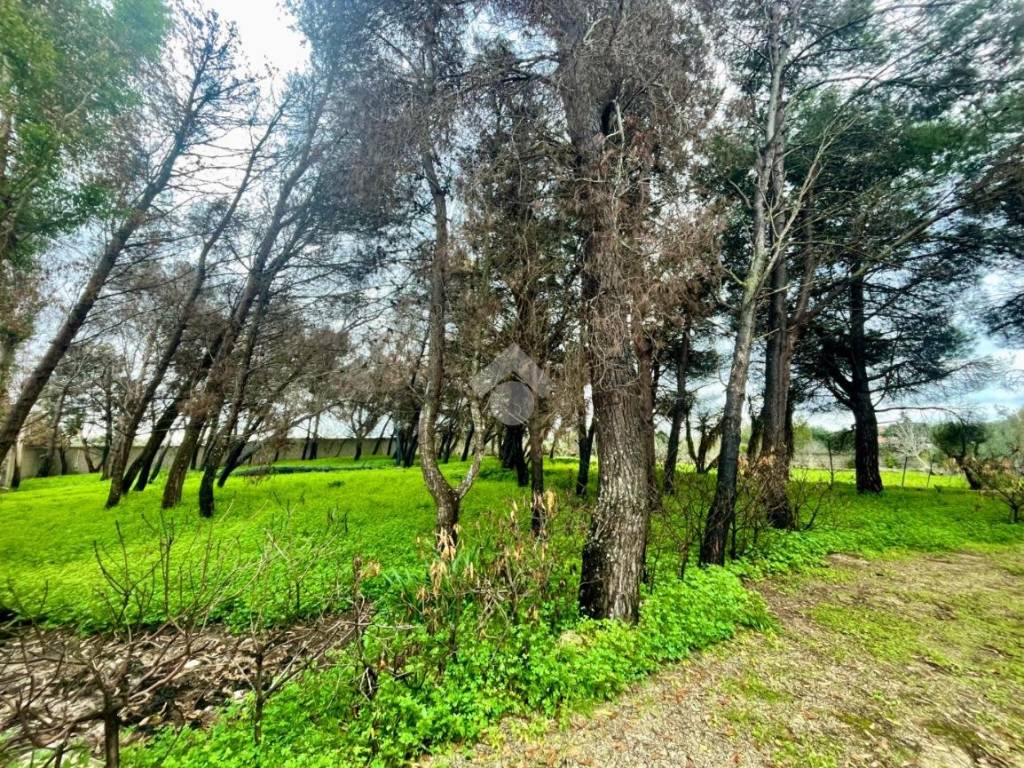 Terreno a Lecce in Via Natalia Ginzburg, 18 - Foto 2