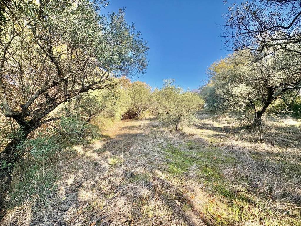 Terreno a Marcellina in Via dei Caolini - Foto 2
