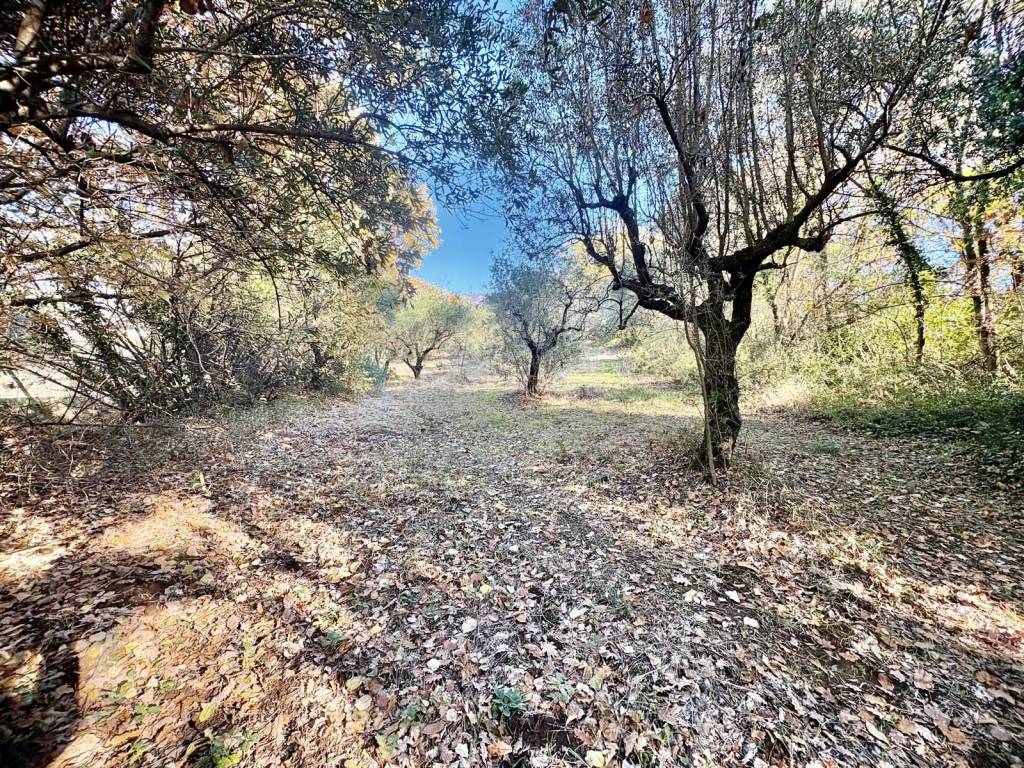 Terreno a Marcellina in Via dei Caolini - Foto 3