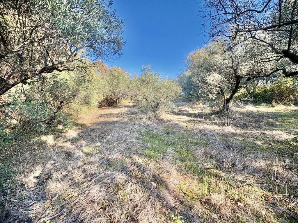 Terreno a Marcellina in Via dei Caolini - Foto 5