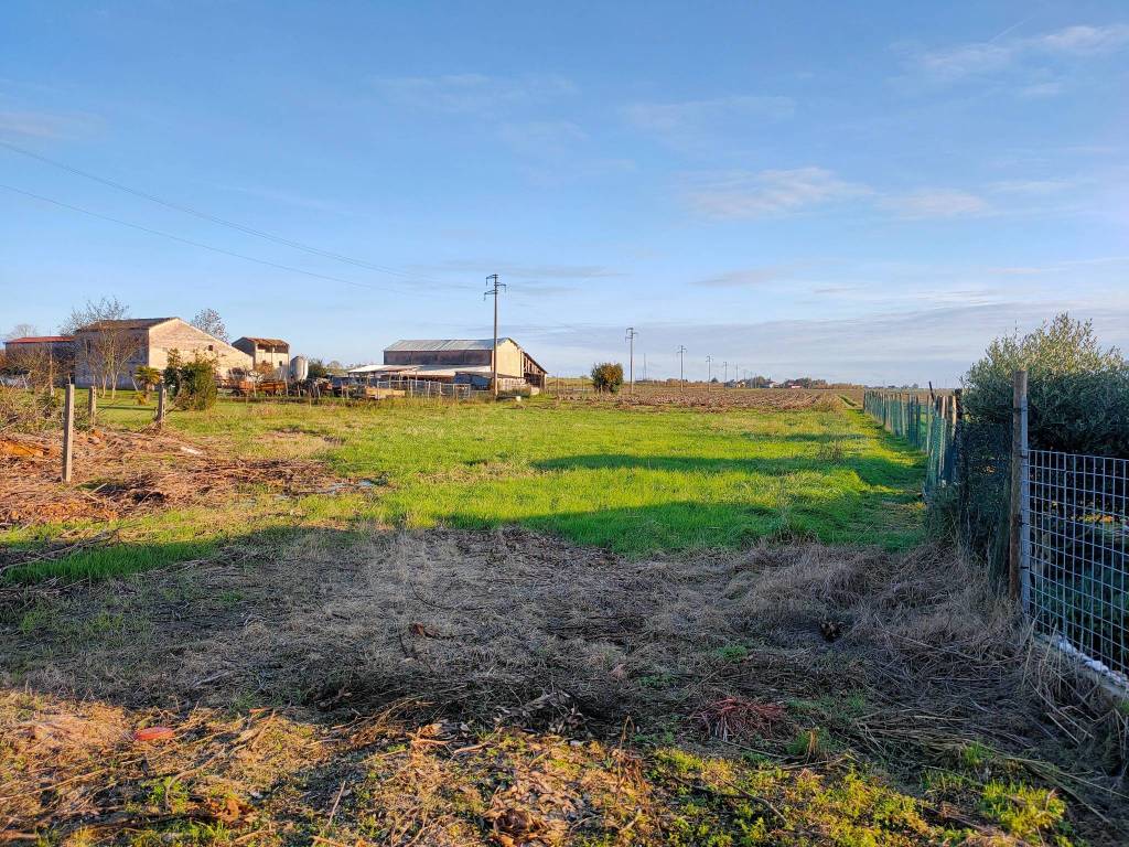 Villa a Taglio di po - Foto 5