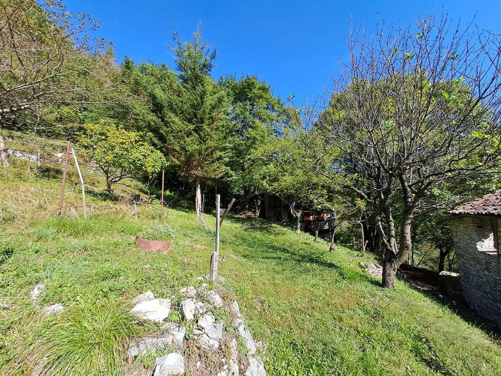 Terreno a Arsiè in Via Liberazione - Foto 2