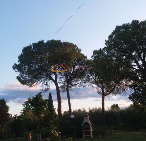 Immobile a Marciano della chiana - Foto 3