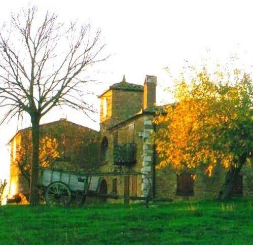 Rustico / casale a Torrita di siena - Foto 3