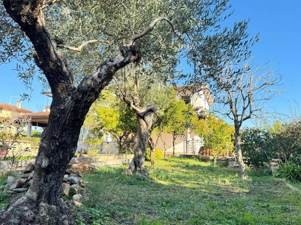 Appartamento a Anguillara sabazia in villa Via Luigi Petroselli, 15 - Foto 4